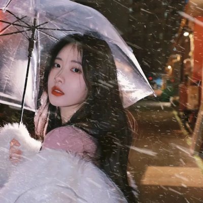 战鸽总动员